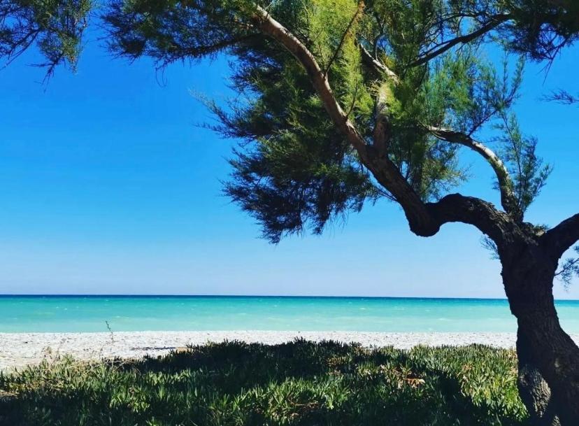 Magnifico Piso Con Vistas Al Mar En Moncofa Apartman Moncófar Kültér fotó